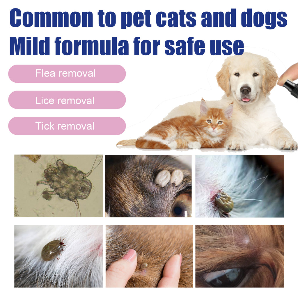 Pet Flea Spray, Cat And Dog Pet Skin Cleansing External Lice Tick Anti-Itch Spray