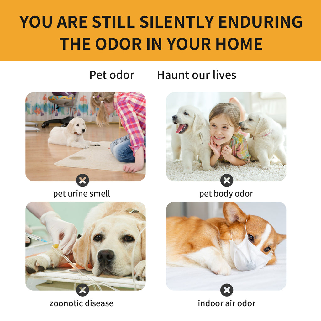 Pet Fabric Deodorizer Spray, Fresh Air Clean Pet Odors Indoor Air Fresh Long-Lasting Deodorant