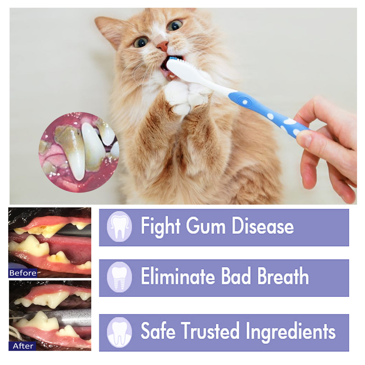 Pet V34 Toothpaste, Pet Clean Bad Breath Tartar Care Gum Care Toothpaste
