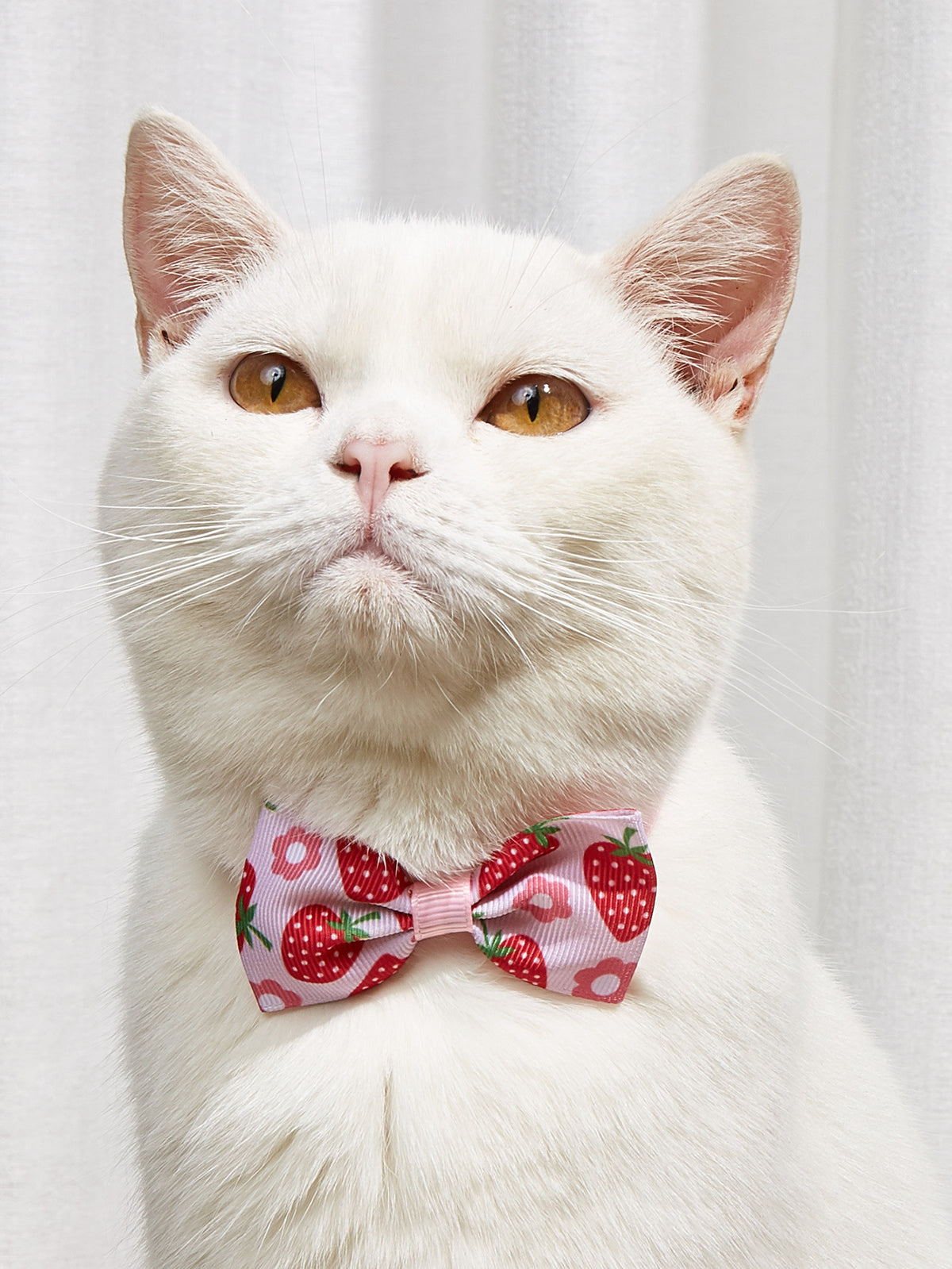 Colorful Bow Tie Pet Head Wear Puppy Bow Tie Pet Tie Cat And Dog Bow Tie Pet Bow Tie