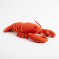 Floppy lobster cat toy on white background